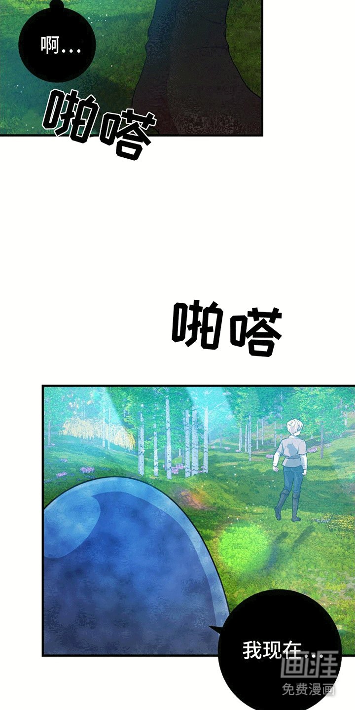 第13章：跟随