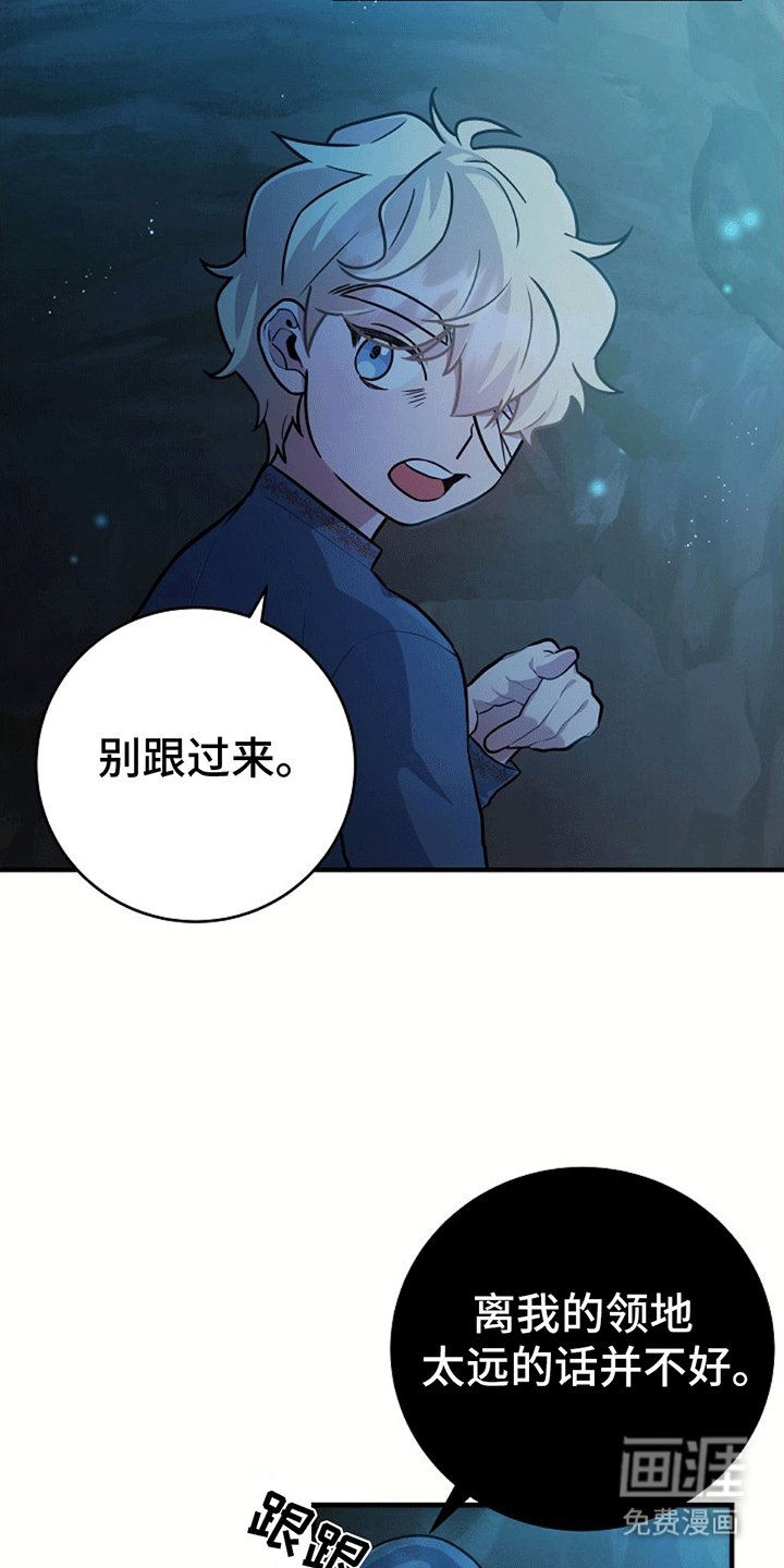 第13章：跟随