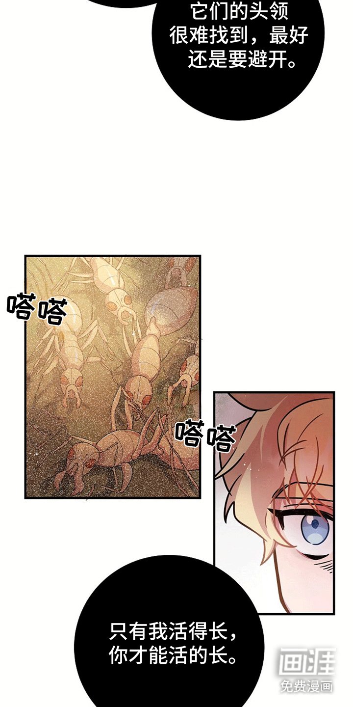 第13章：跟随