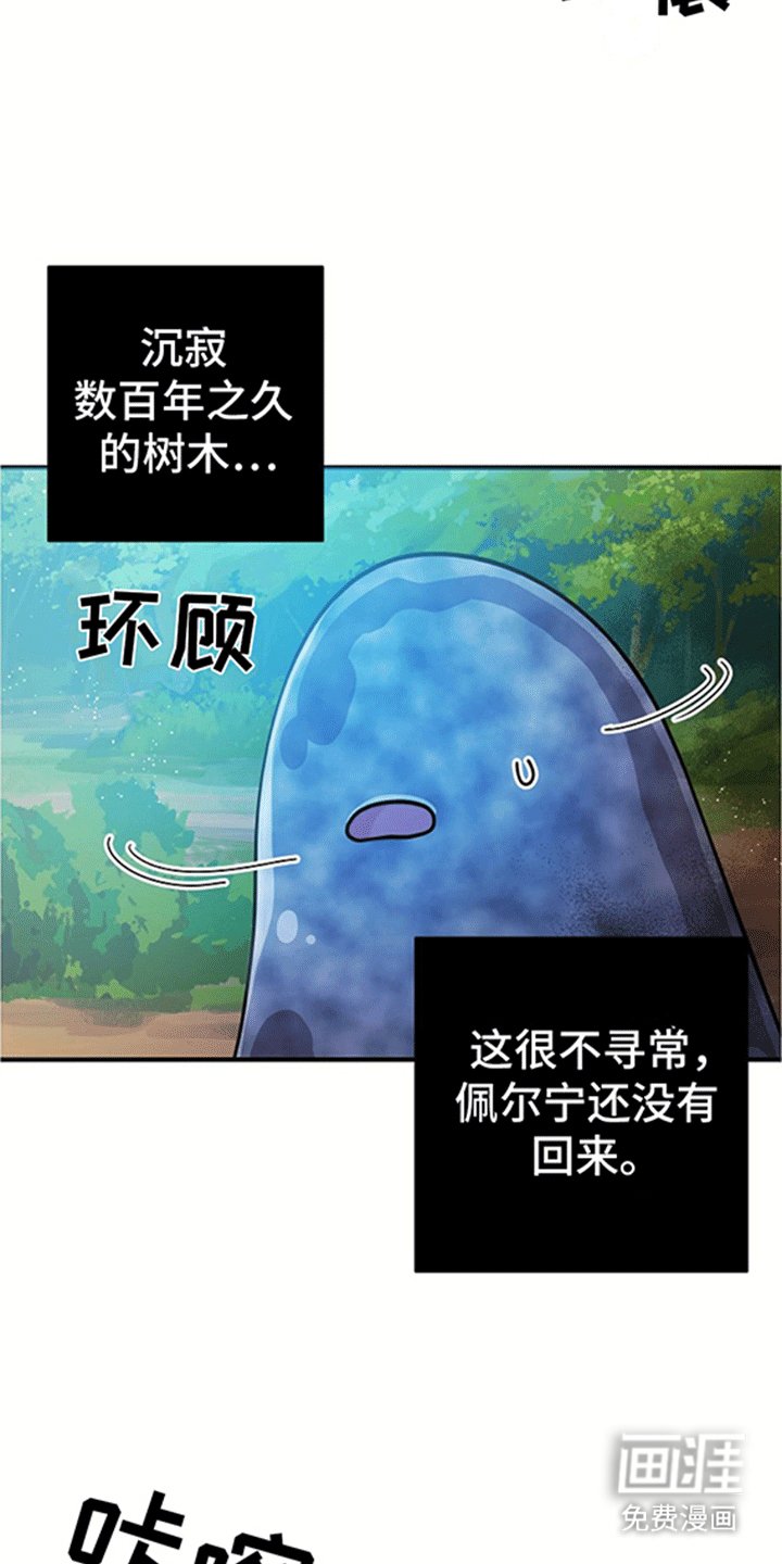 第13章：跟随