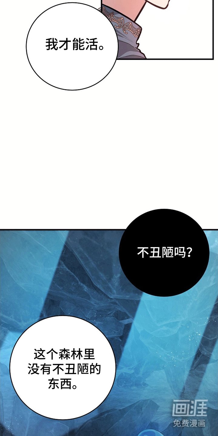 第14章：遇险