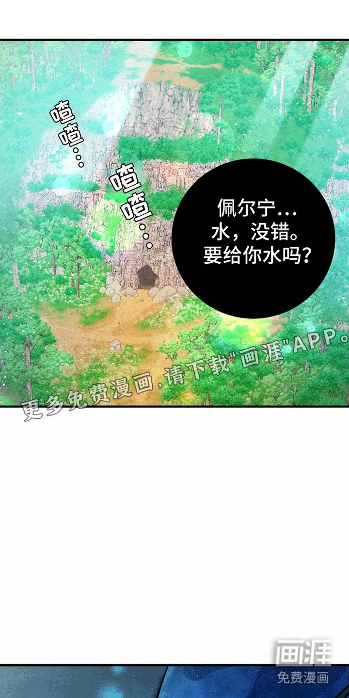 第16章：照顾