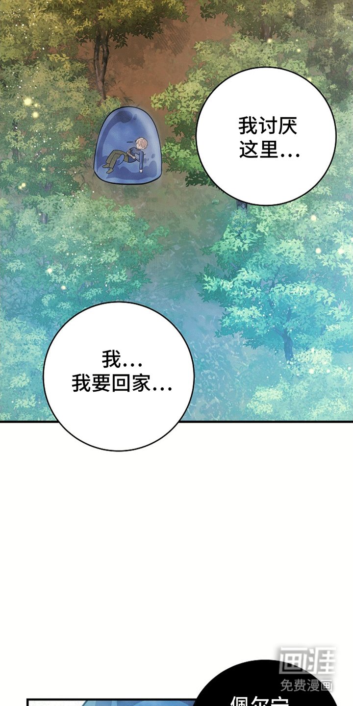 第17章：回家