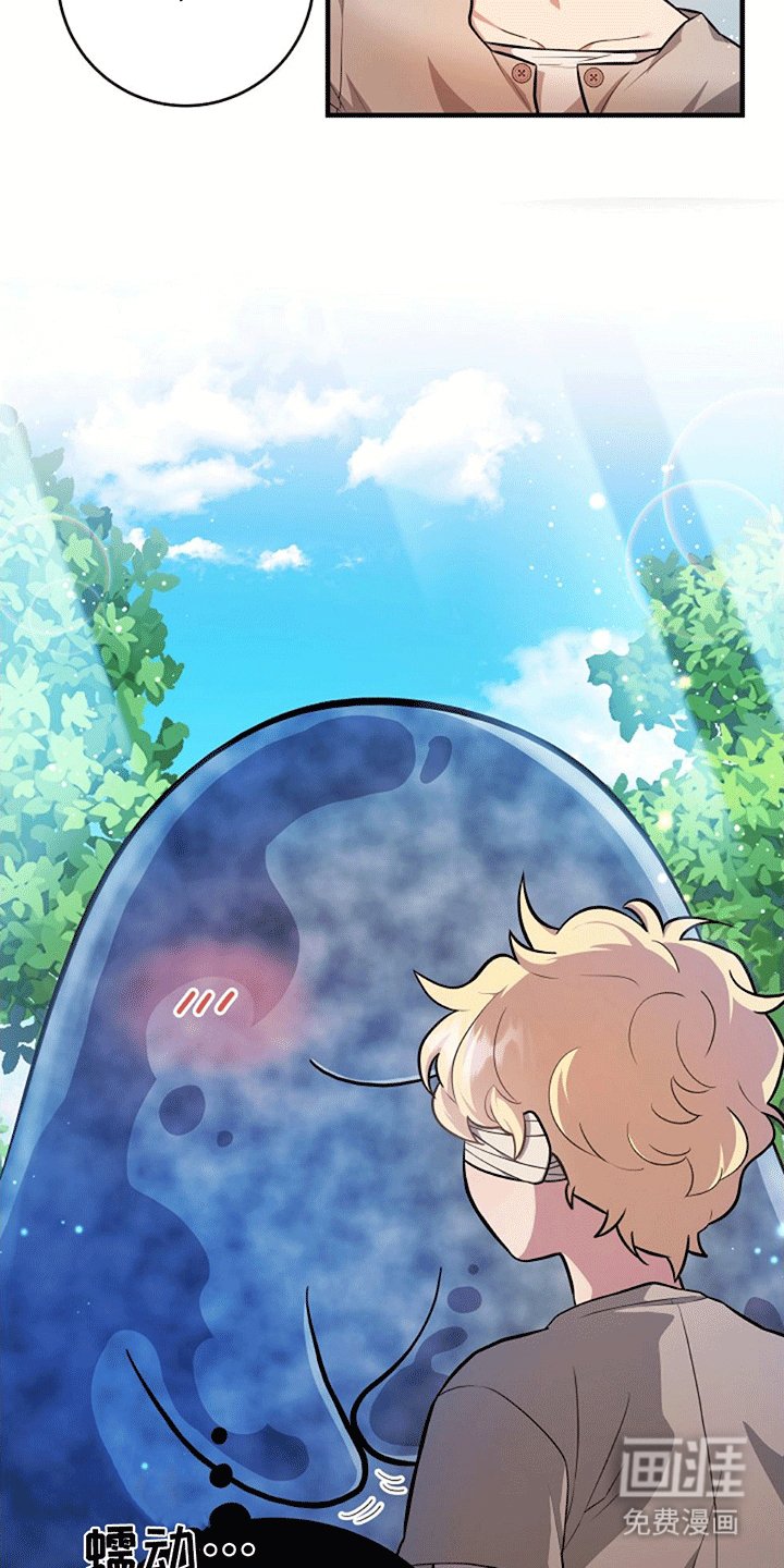 第17章：回家