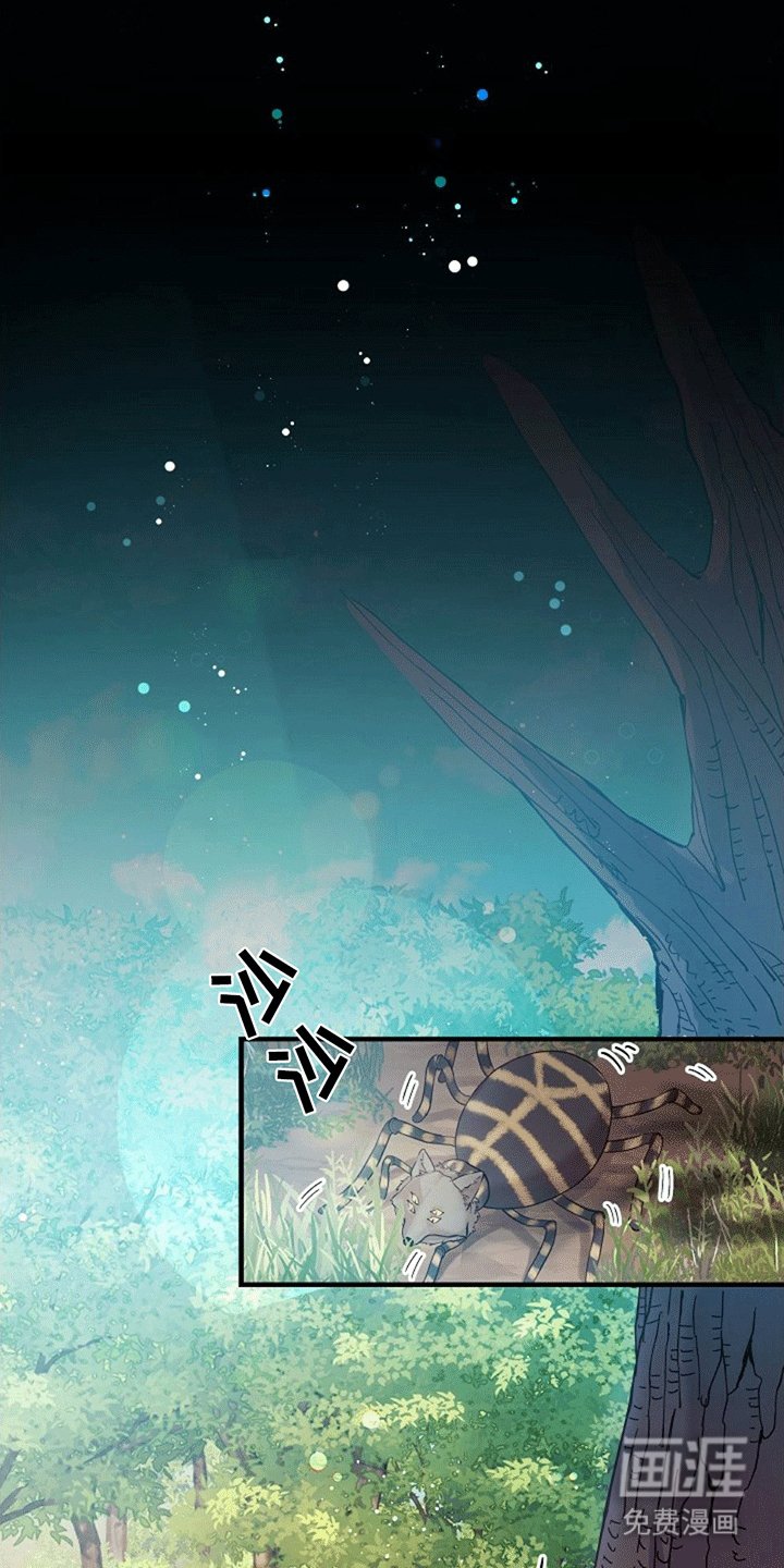 第2章：改造成为怪物