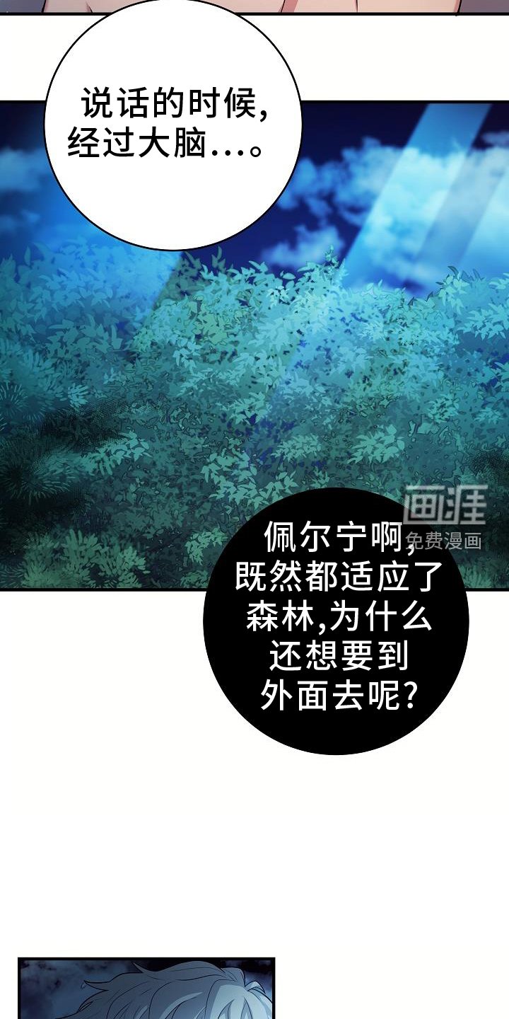 第21章：看看
