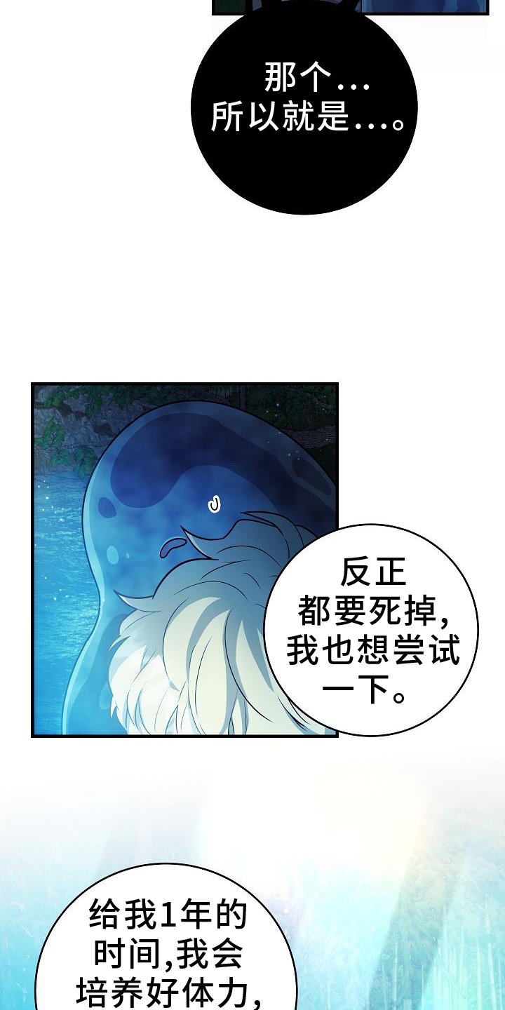 第21章：看看
