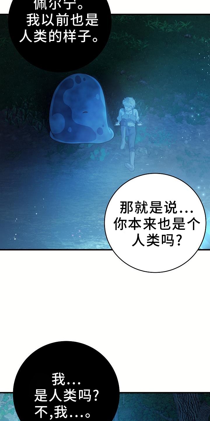 第21章：看看