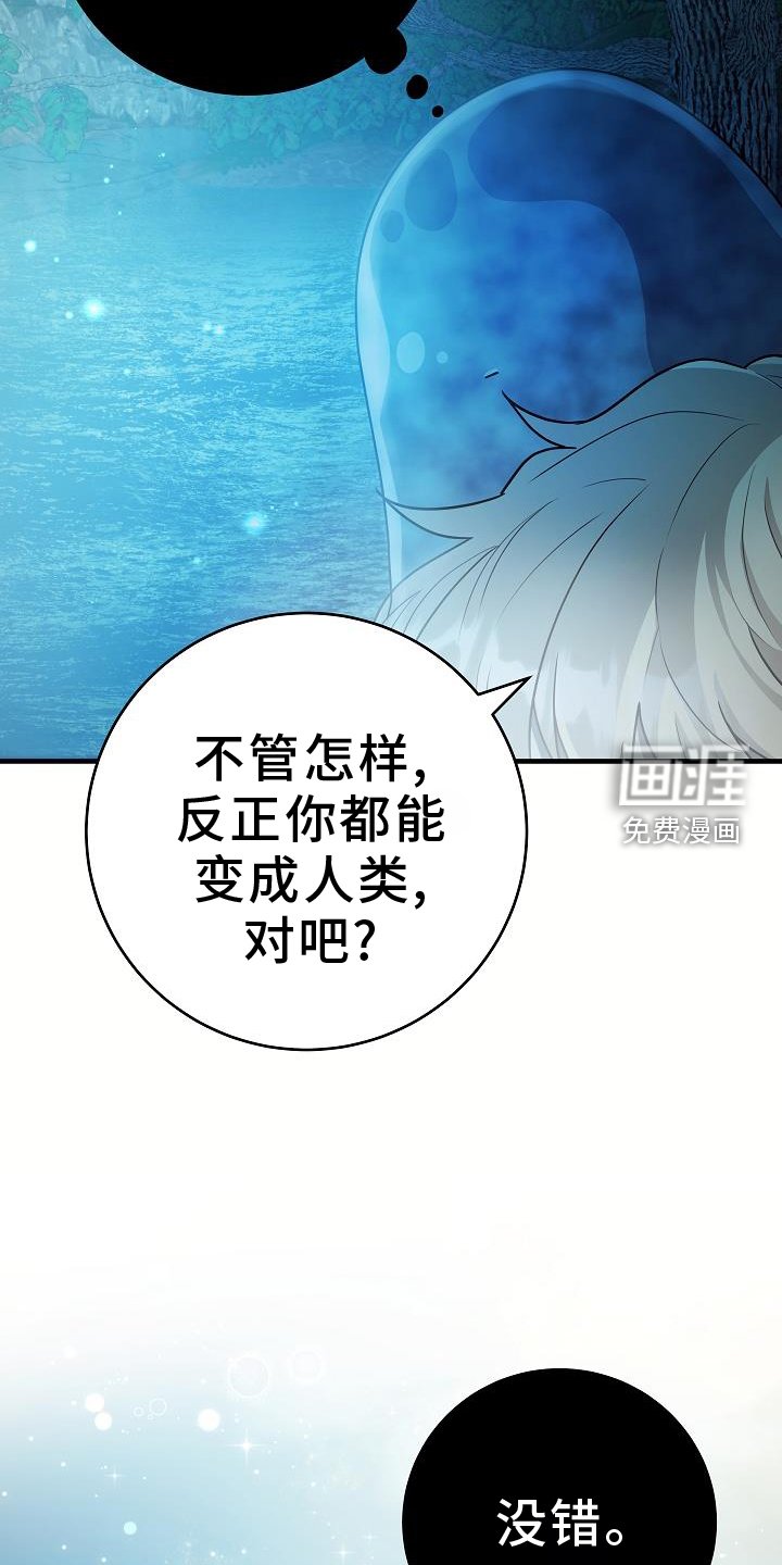第21章：看看