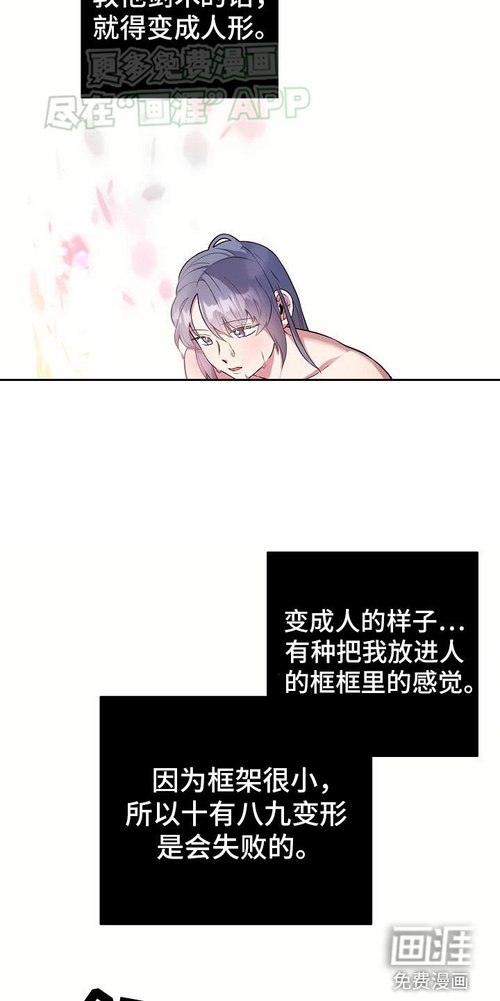 第22章：化形