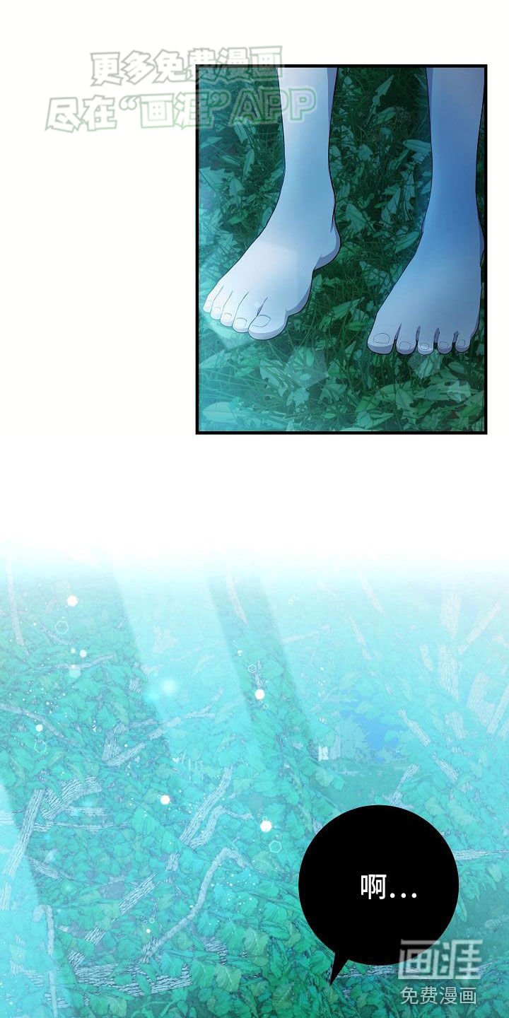 第22章：化形