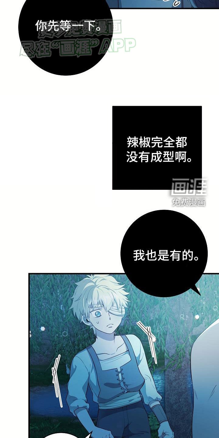 第22章：化形