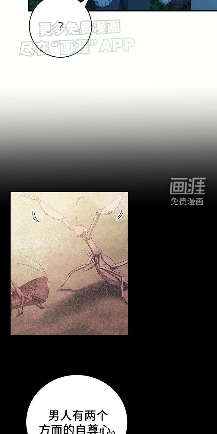 第22章：化形