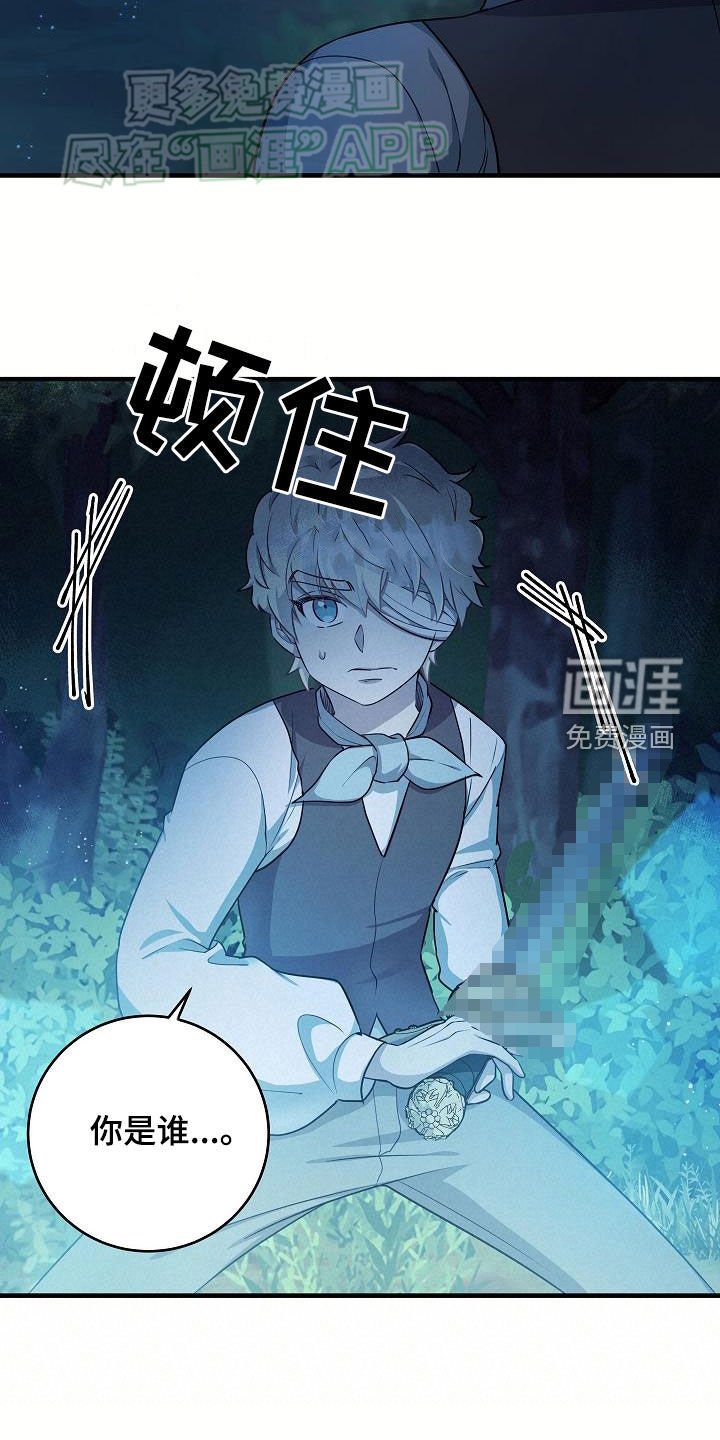 第24章：炫耀