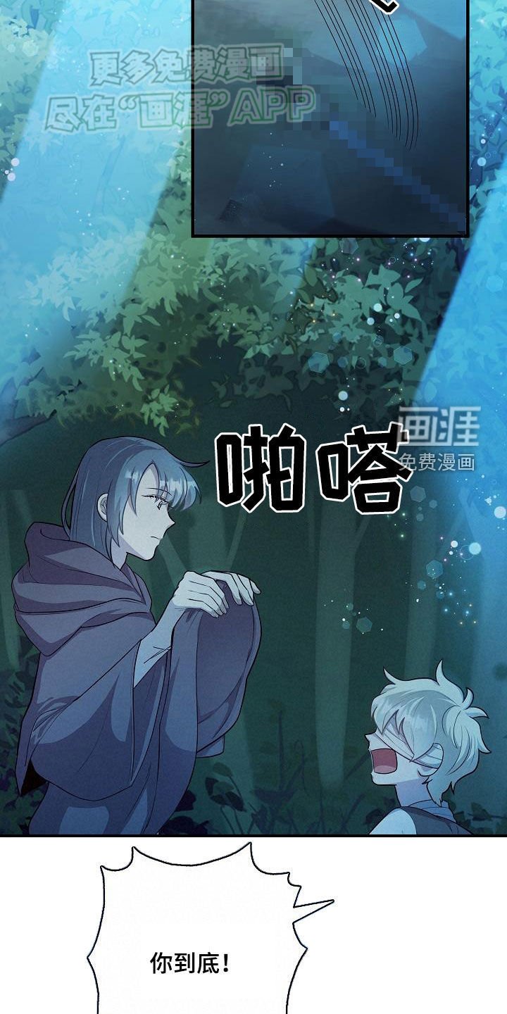 第24章：炫耀