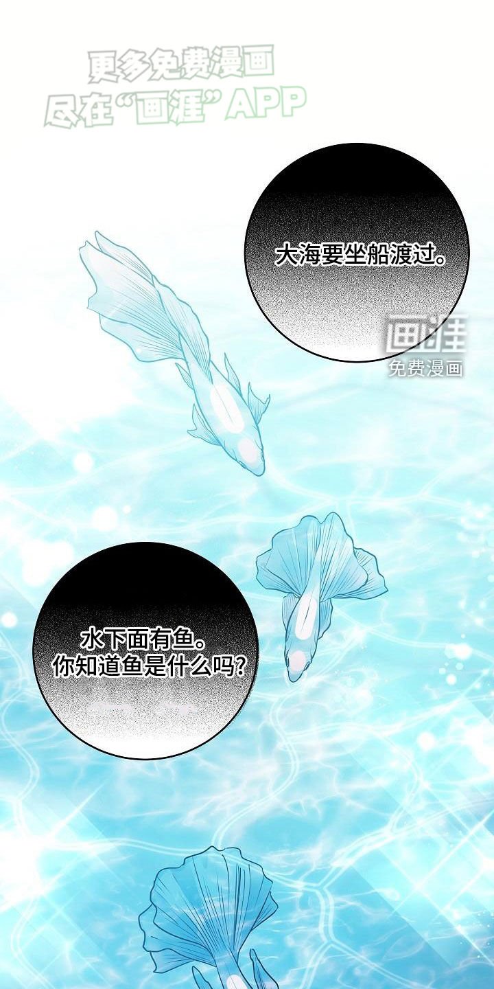 第26章：大海