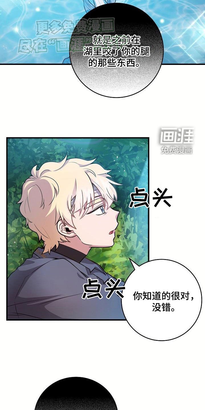 第26章：大海