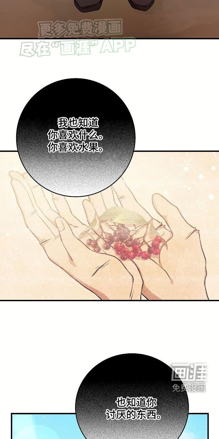 第27章：蚁群