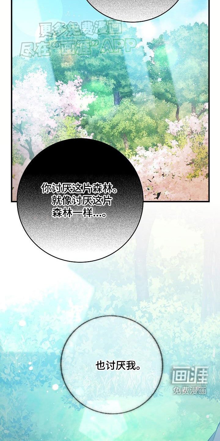 第27章：蚁群