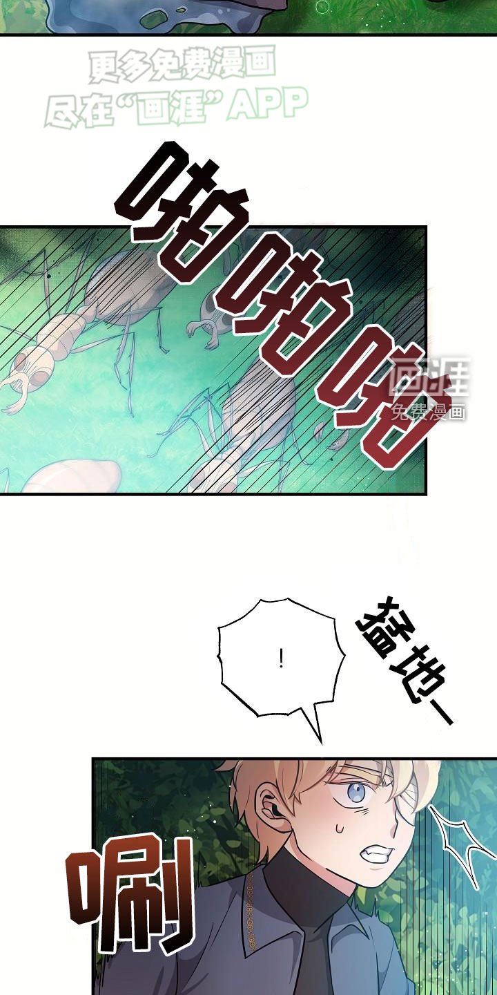 第27章：蚁群