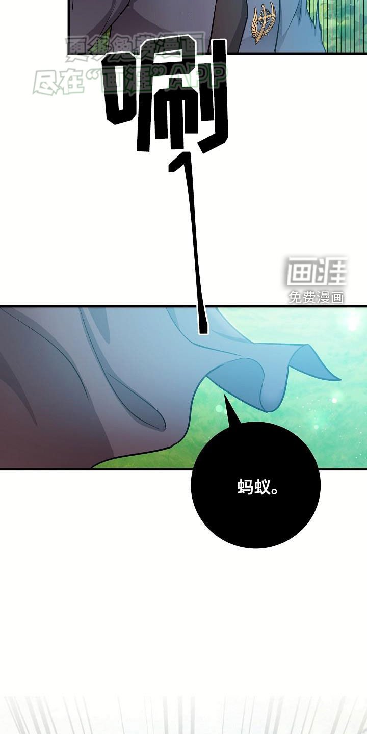第27章：蚁群
