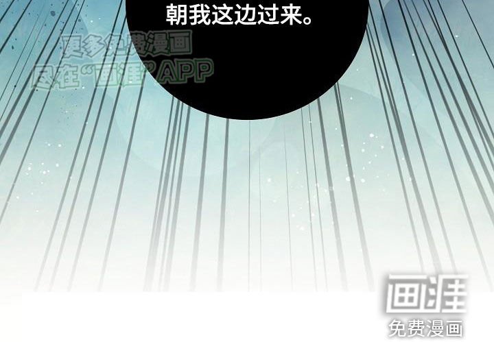 第27章：蚁群