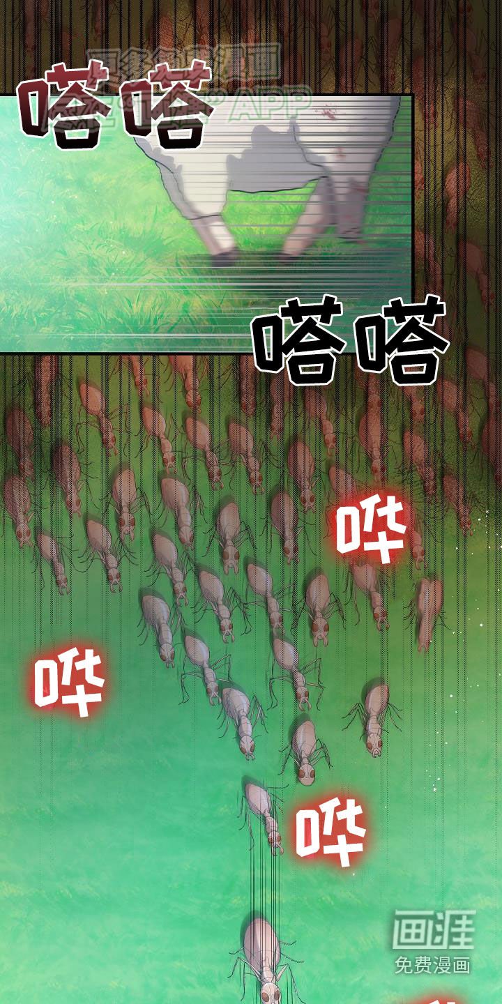 第28章：战斗