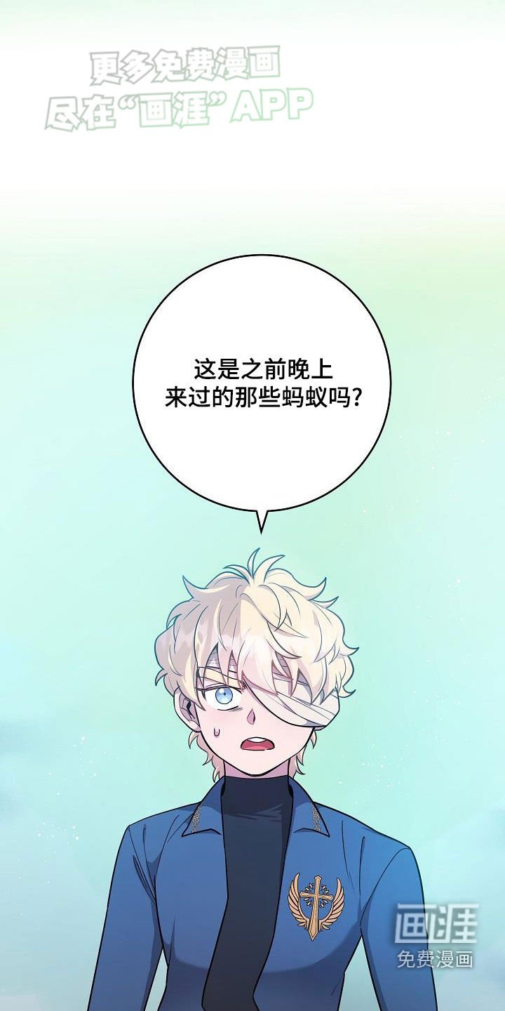 第28章：战斗