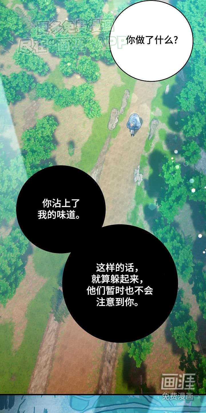 第28章：战斗