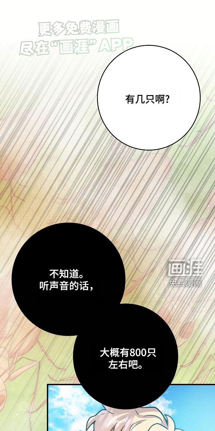 第28章：战斗