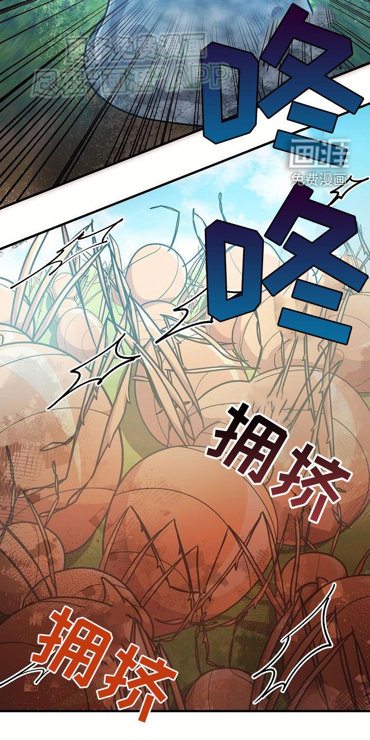 第28章：战斗