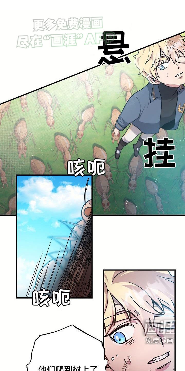 第29章：赢了