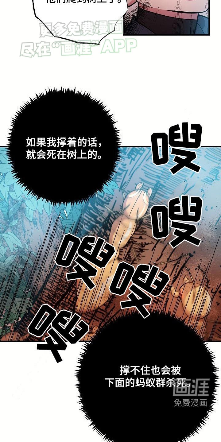 第29章：赢了