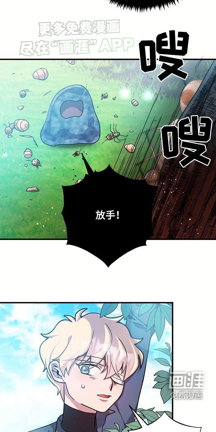 第29章：赢了