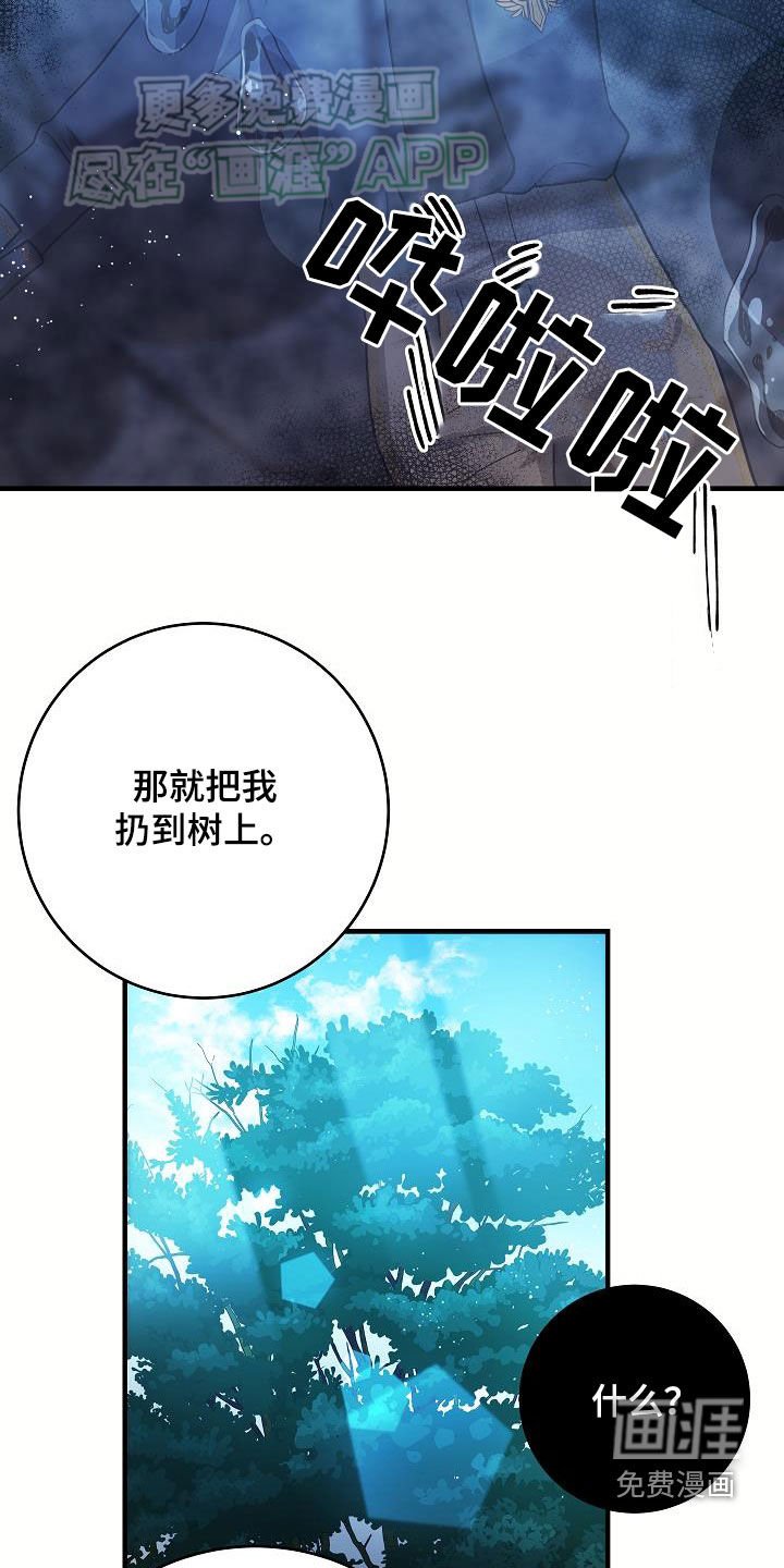 第29章：赢了