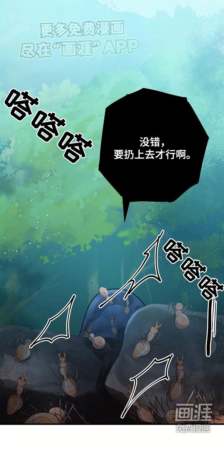 第29章：赢了