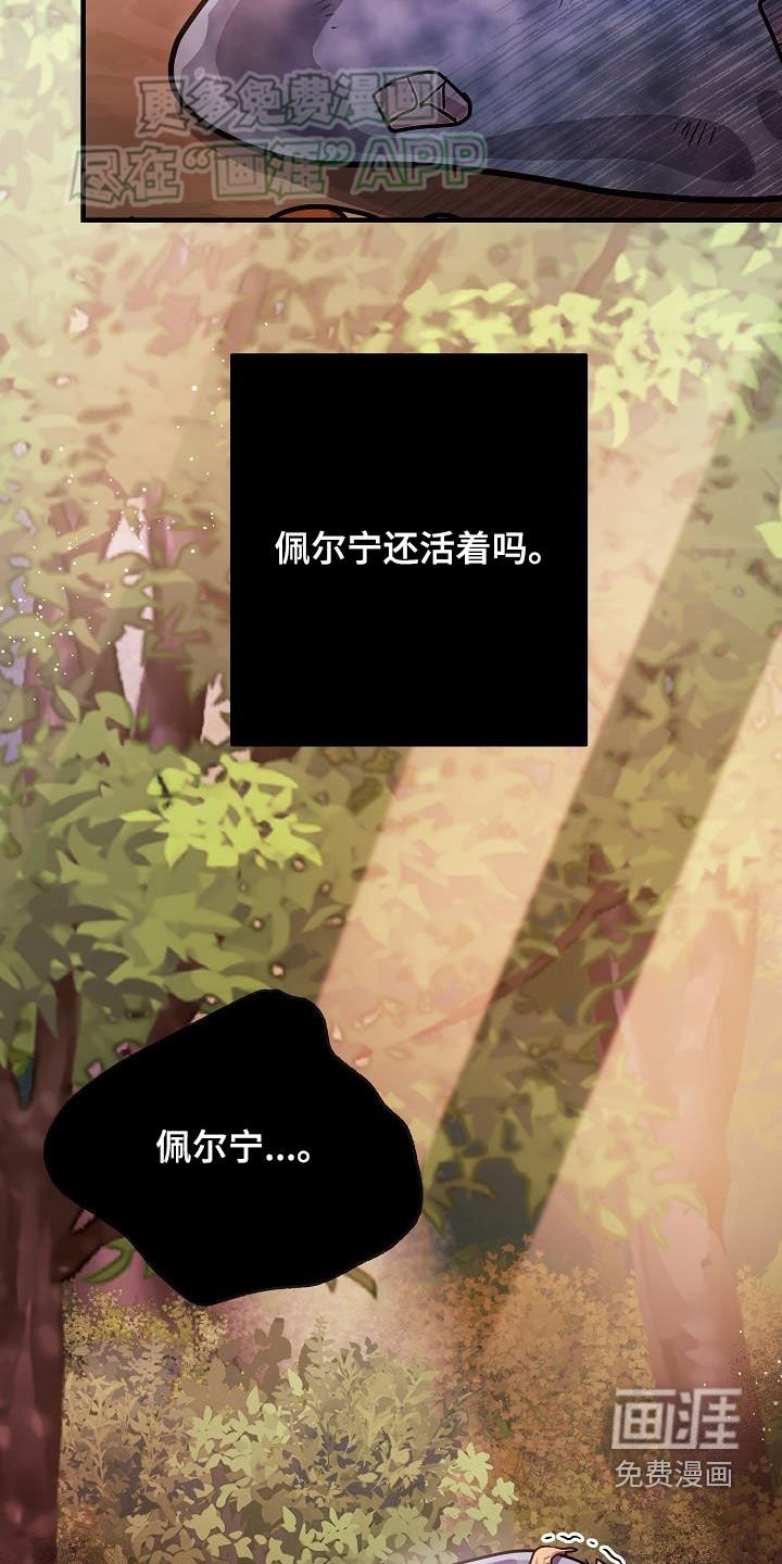 第29章：赢了
