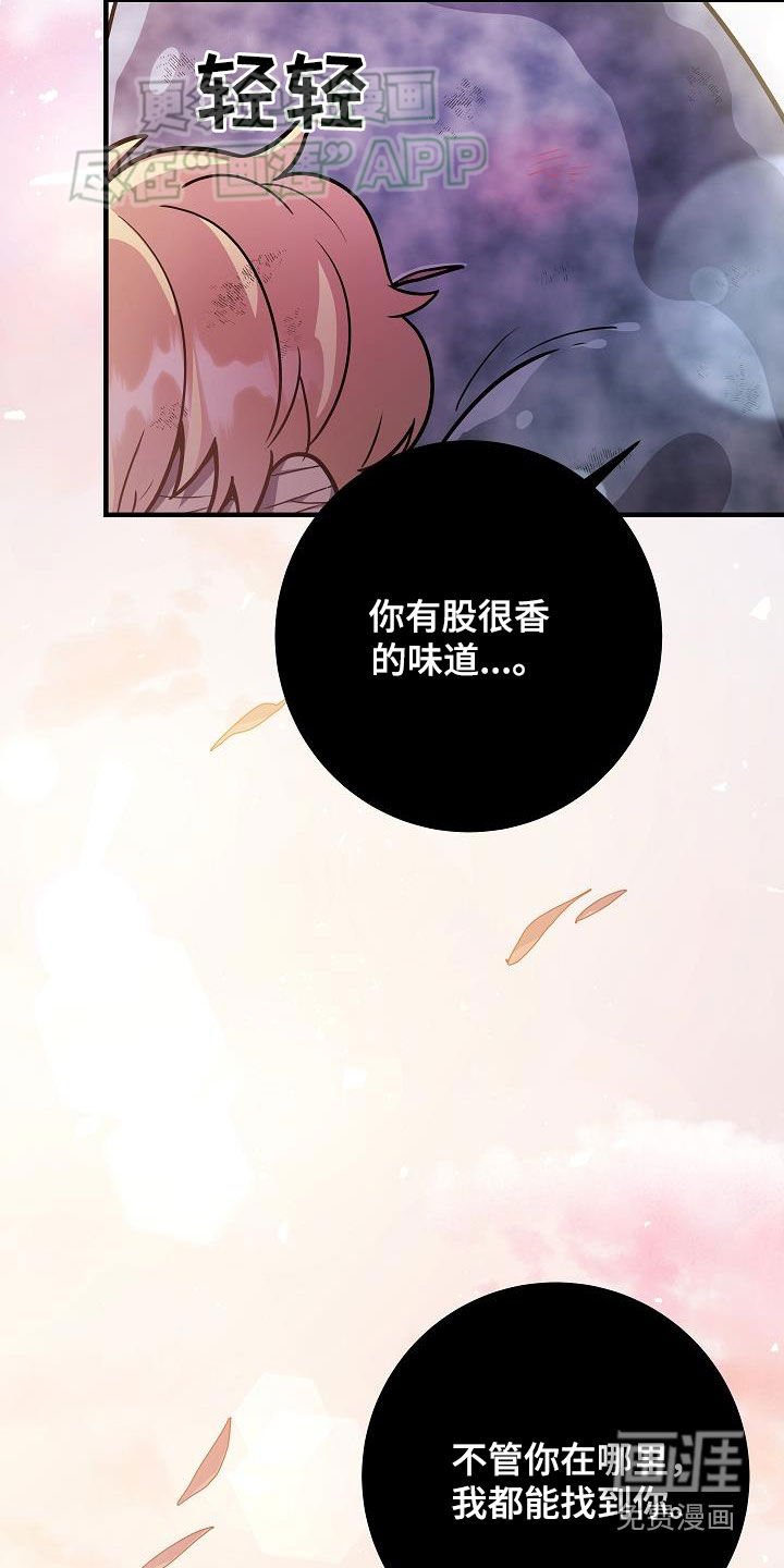 第30章：出不去的