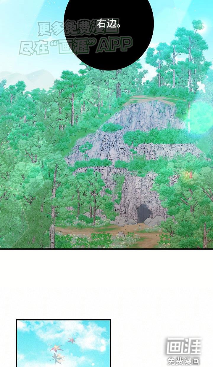 第33章：砍断一条腿