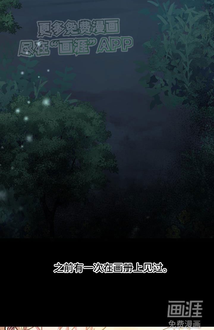第36章：兴趣