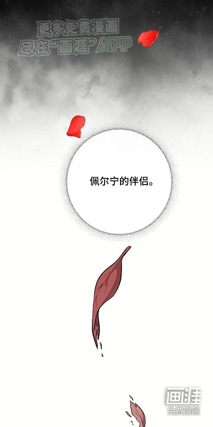 第36章：兴趣