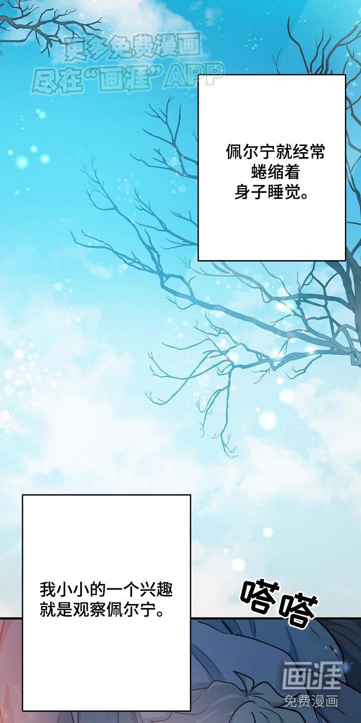 第36章：兴趣