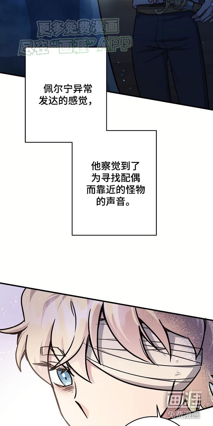 第37章：当诱饵