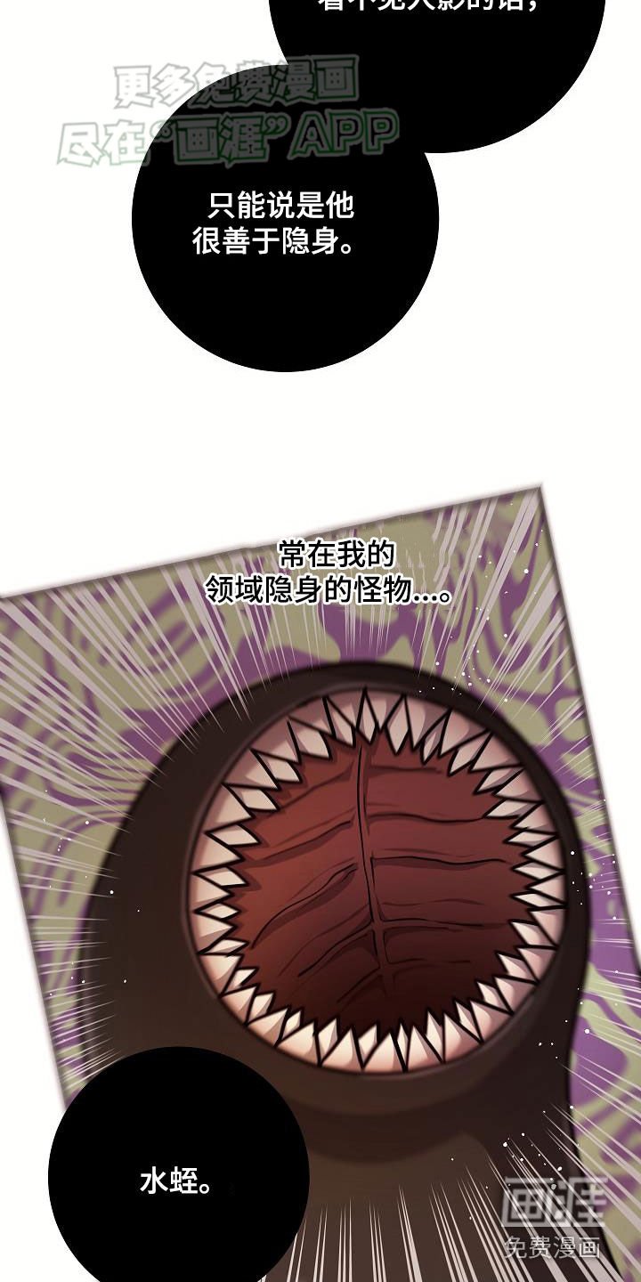 第37章：当诱饵