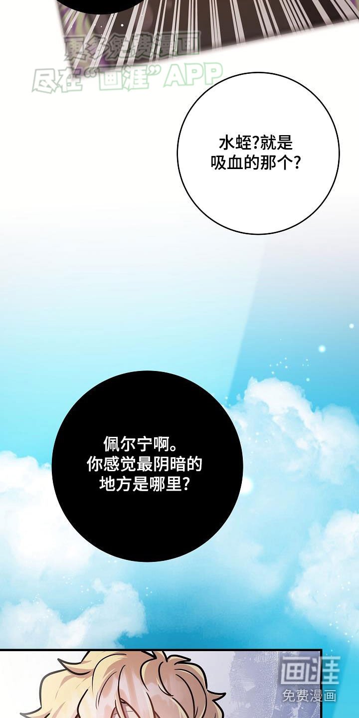 第37章：当诱饵