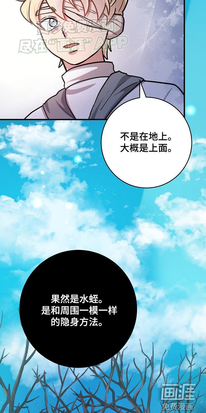 第37章：当诱饵
