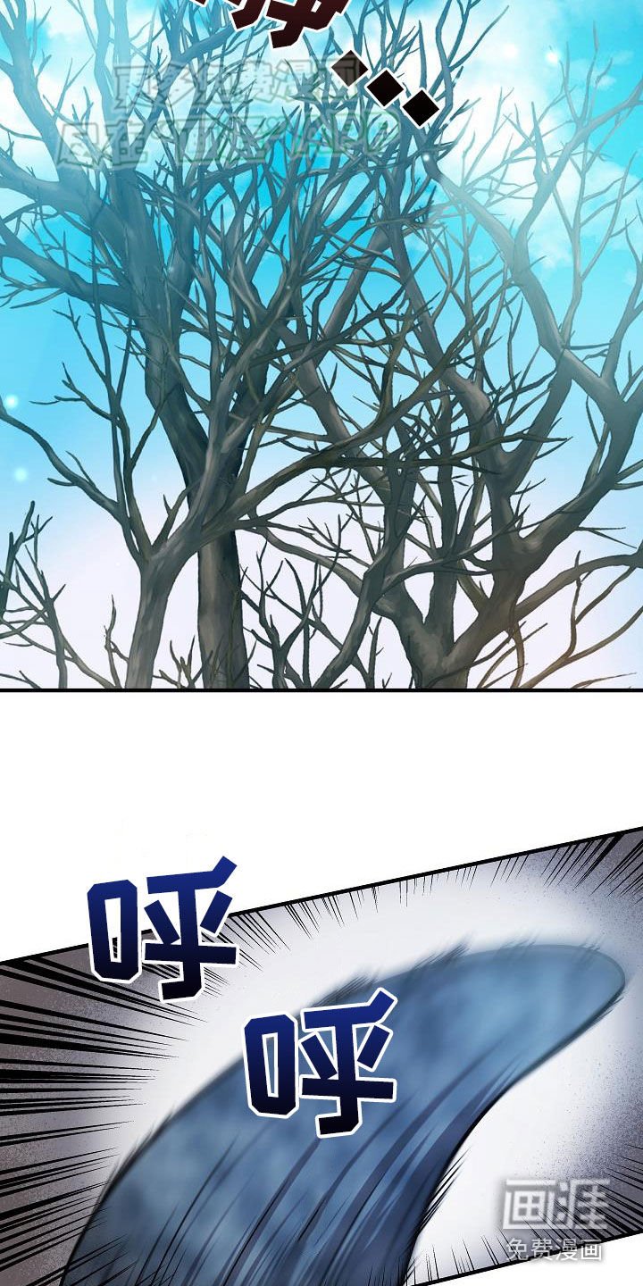 第37章：当诱饵
