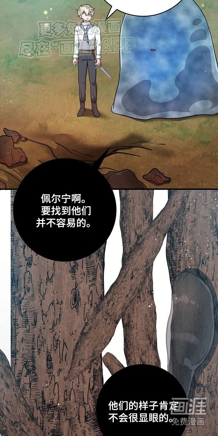 第37章：当诱饵