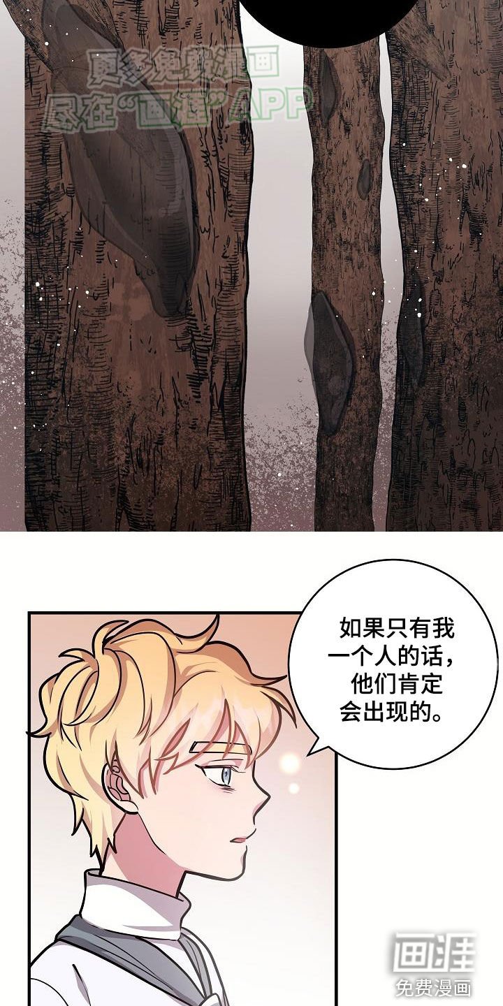 第37章：当诱饵