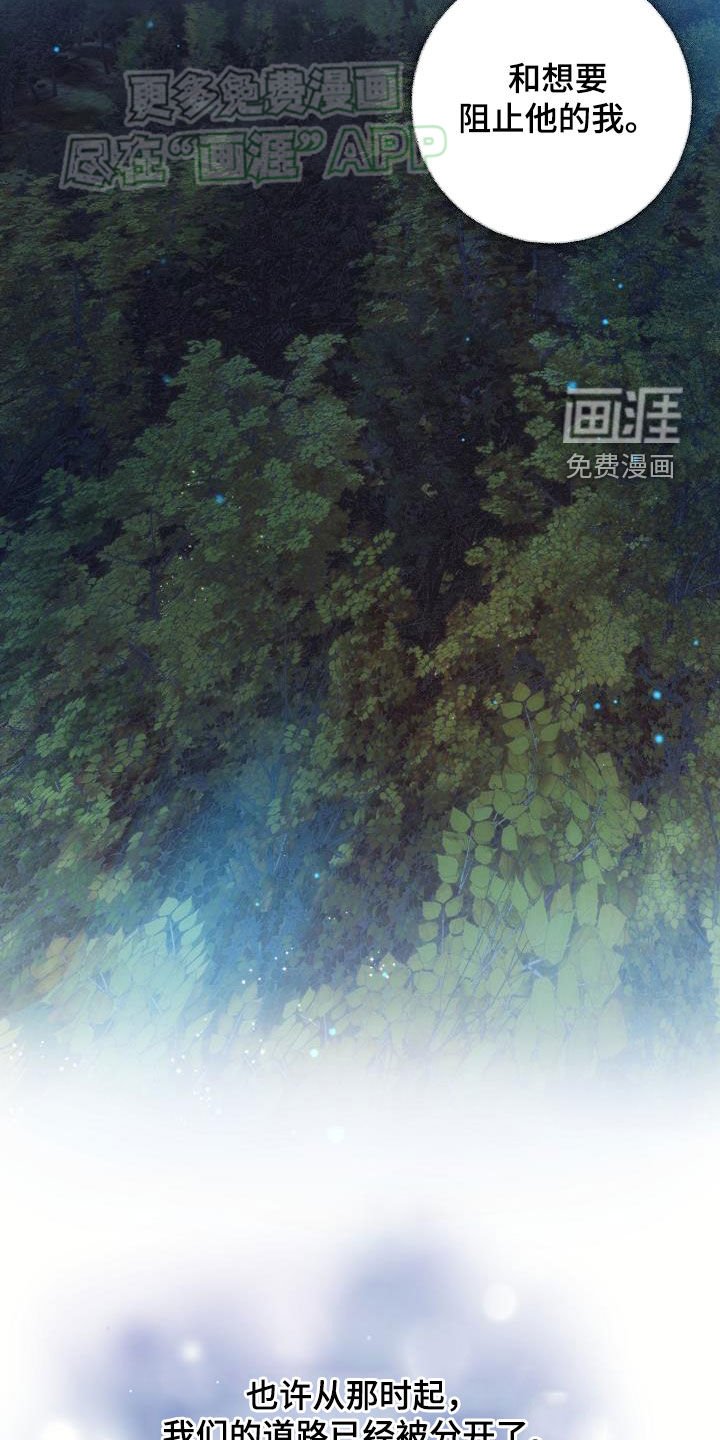第37章：当诱饵